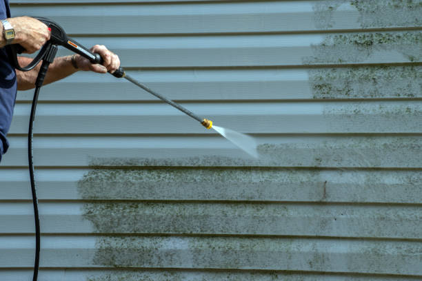 Best Local Pressure Washing Services  in Bellevue, IA